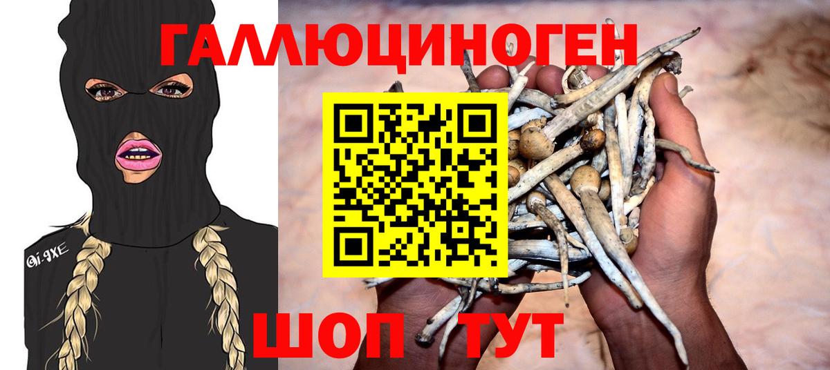 Галлюциногенные грибы Magic Shrooms  Вход с VPN  Сергиев Посад  Псилоцибиновые грибы мицелий 
